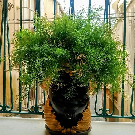 بيت للعطل Casa Heinsch